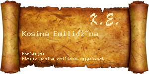 Kosina Emiliána névjegykártya
